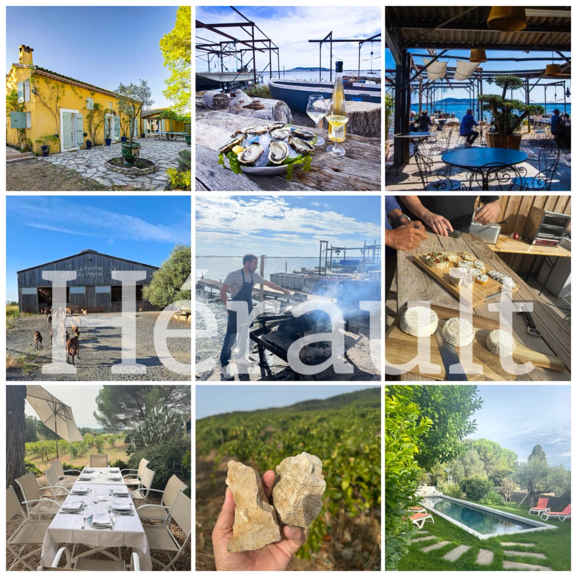 &OElig;notoursime & Table insolite